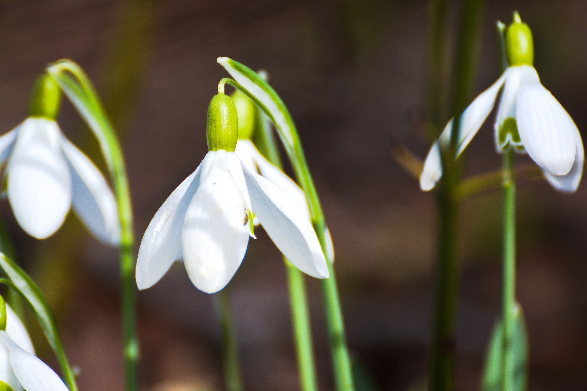 Entschlackung im Frühling